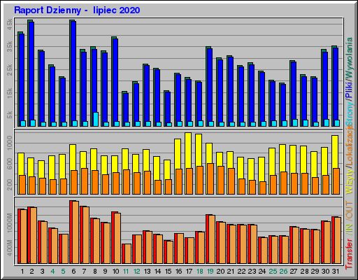 Raport Dzienny - lipiec 2020 Raport Dzienny - lipiec 2020