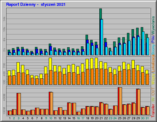 Raport Dzienny - styczeĹ 2021 Raport Dzienny - styczeĹ 2021