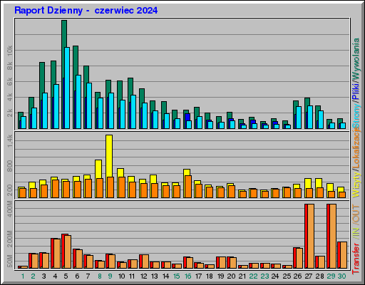Raport Dzienny - czerwiec 2024 Raport Dzienny - czerwiec 2024