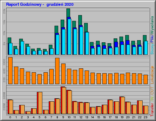 Raport Godzinowy - grudzieĹ 2020 Raport Godzinowy - grudzieĹ 2020