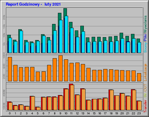 Raport Godzinowy - luty 2021 Raport Godzinowy - luty 2021